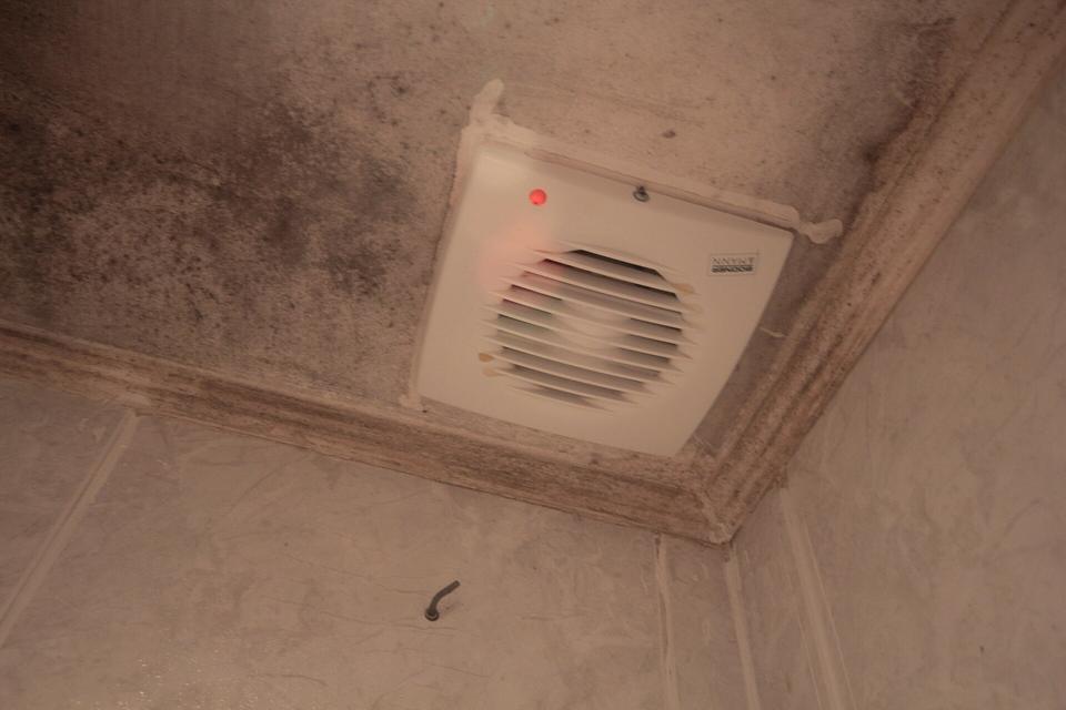 Dark mold patches on a bathroom ceiling and wall around a white exhaust fan