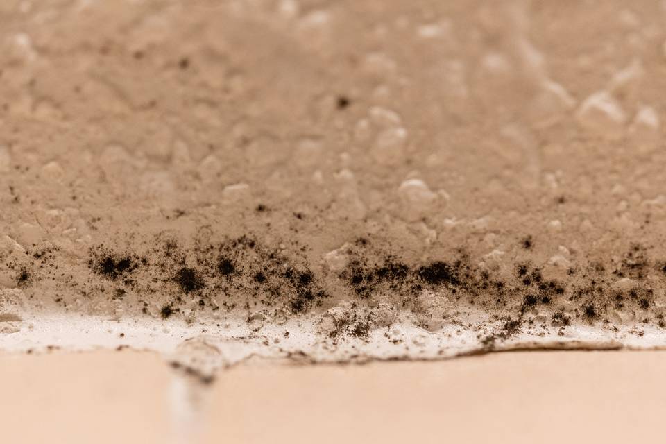 Close view of black mold spots along the edge of a textured shower ceiling