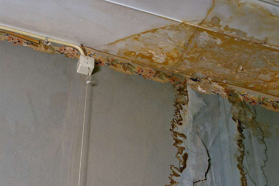 Brown water stains across a ceiling, running down the wall and lifting the wallpaper